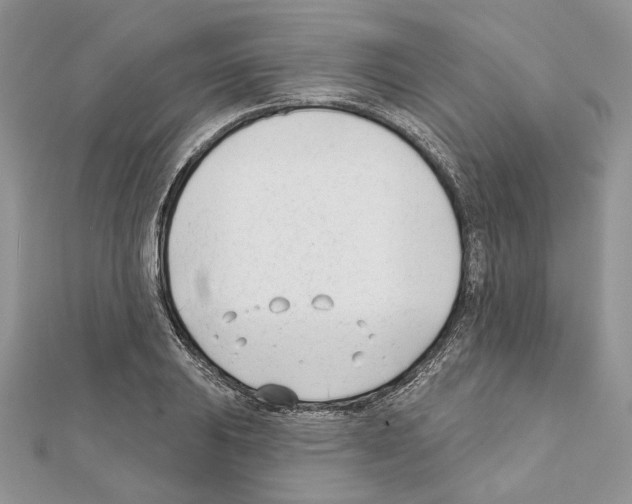 X0000111611031200908281046