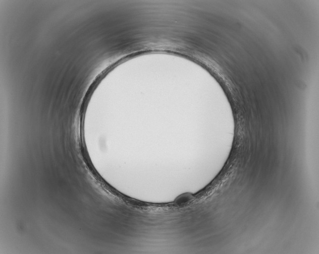 X0000111611032200908281046