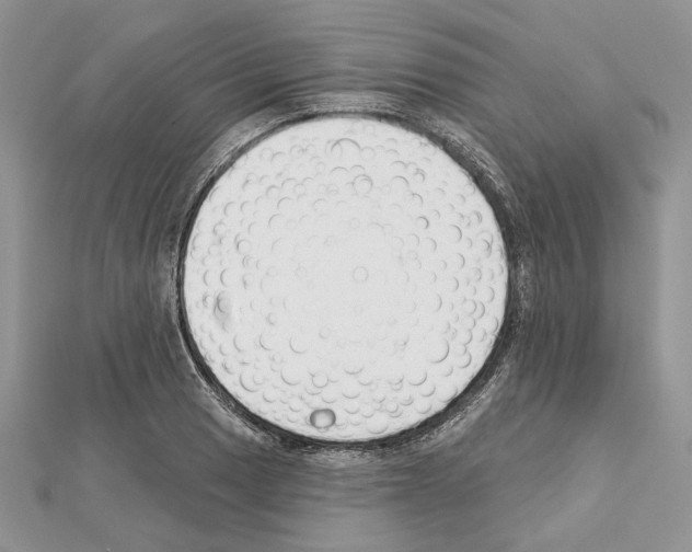 X0000111611033200908281046