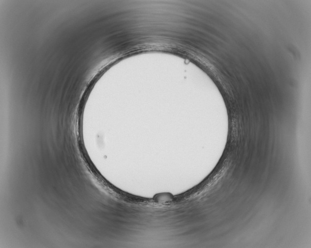 X0000111611034200908281046