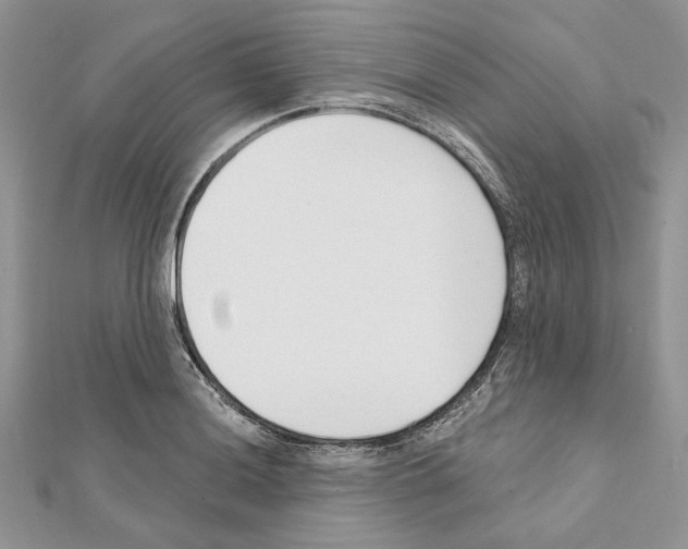 X0000111611036200908281046