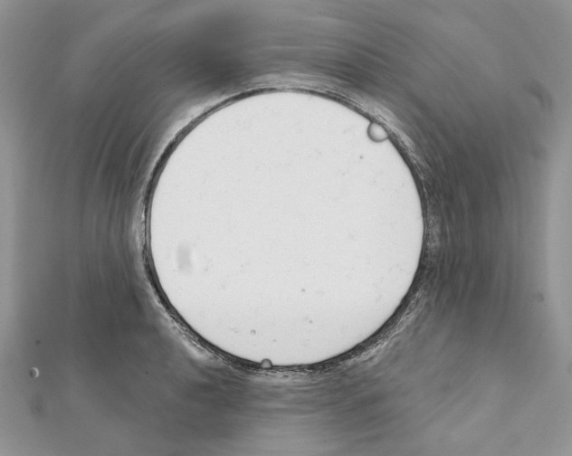 X0000111611040200908281046