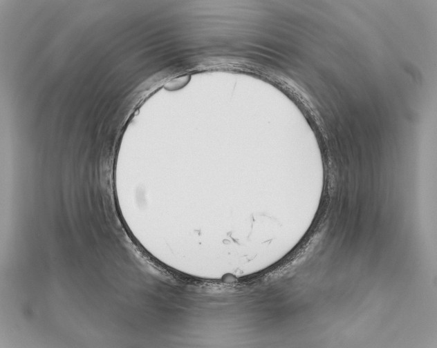 X0000111611041200908281046