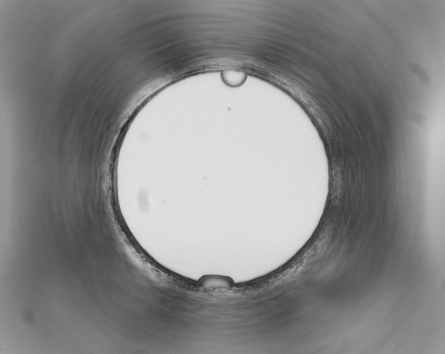 X0000111611042200908281046