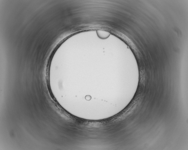 X0000111611043200908281046