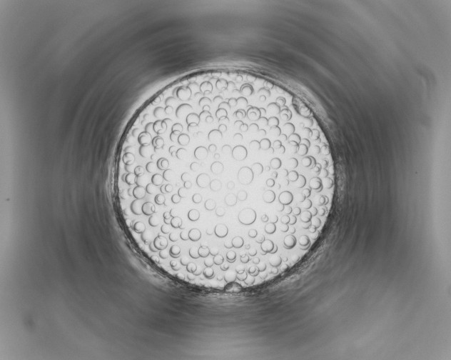 X0000111611044200908281046