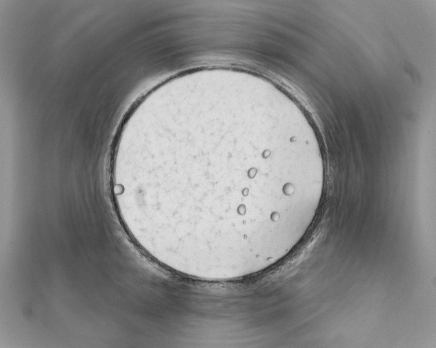 X0000111611045200908281046