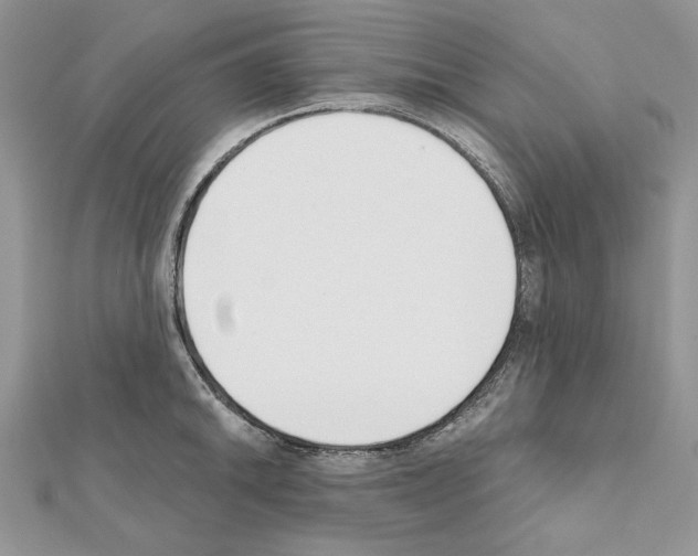 X0000111611046200908281046