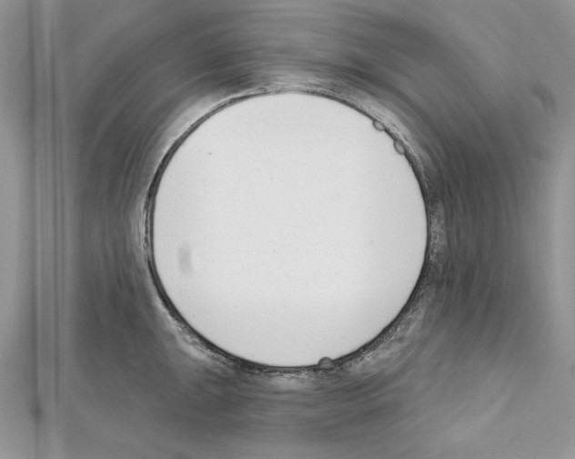 X0000111611047200908281046