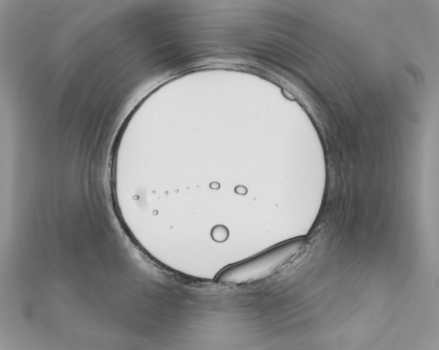 X0000111611050200908281046