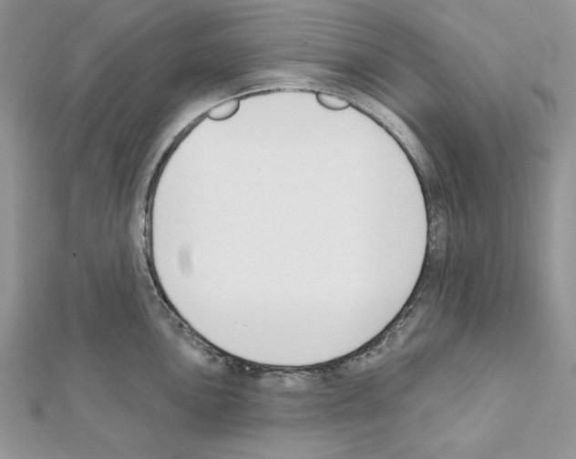 X0000111611051200908281046