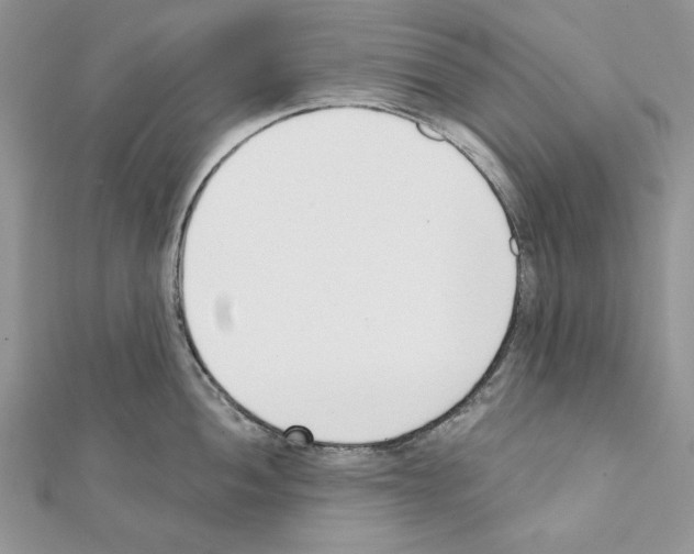 X0000111611052200908281046