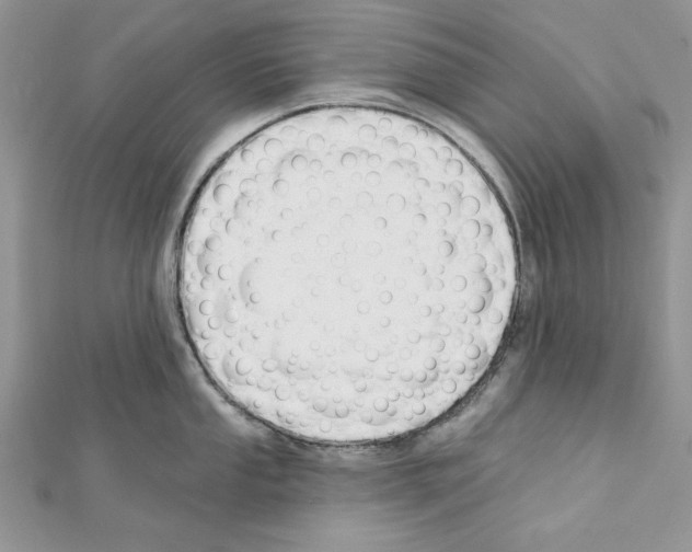 X0000111611053200908281046
