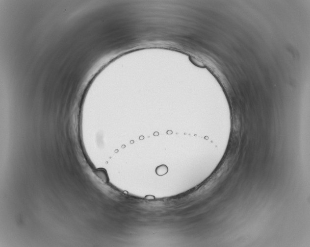 X0000111611054200908281046