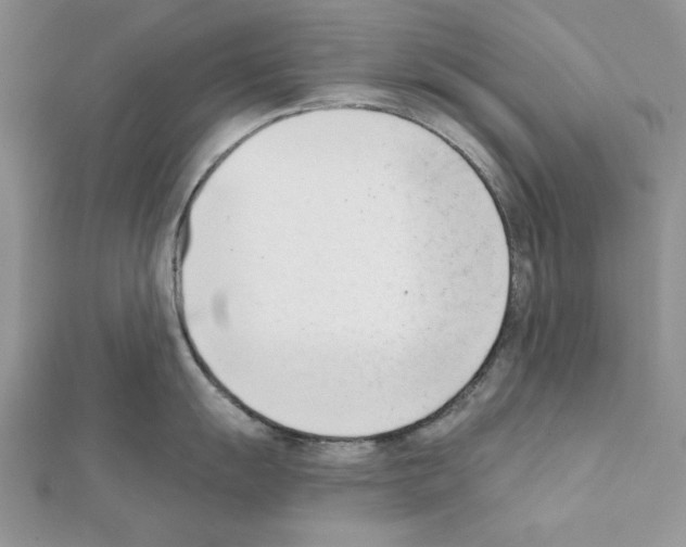 X0000111611055200908281046
