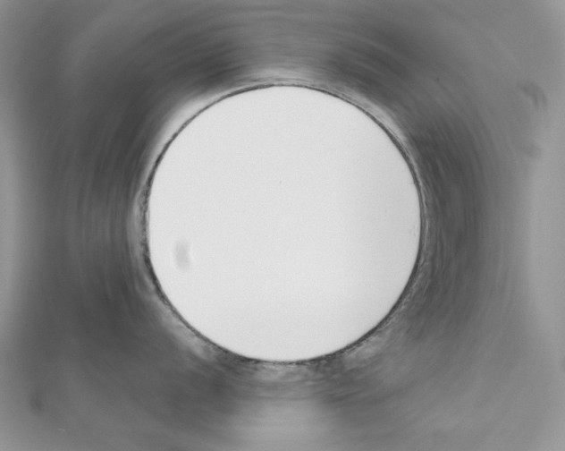 X0000111611056200908281046