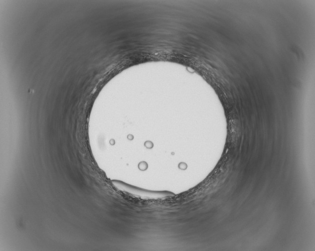 X0000111611057200908281046