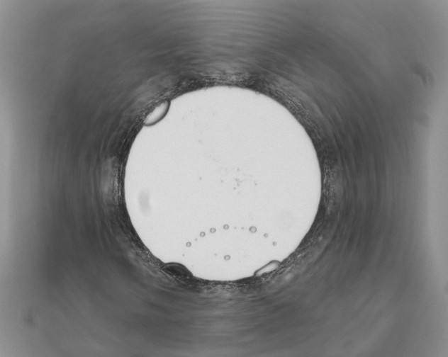 X0000111611058200908281046