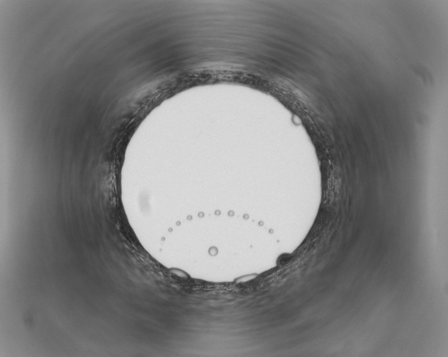 X0000111611062200908281046
