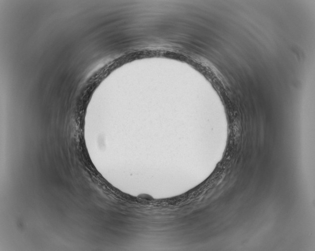 X0000111611064200908281046