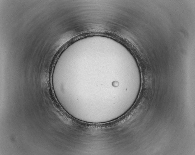X0000111611065200908281046