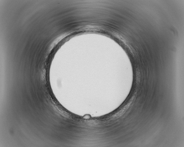 X0000111611066200908281046
