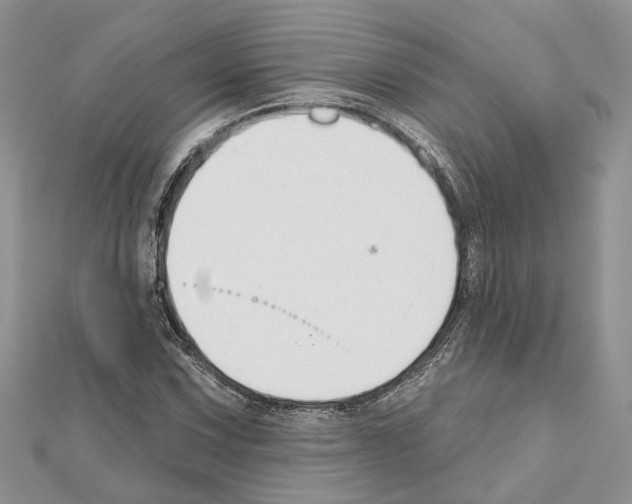 X0000111611067200908281046