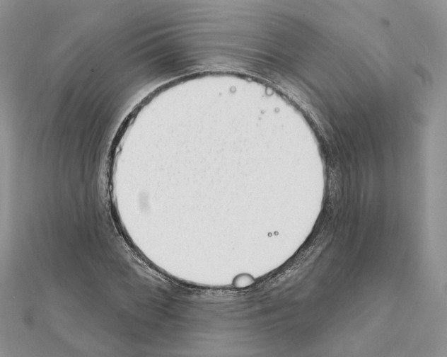 X0000111611068200908281046