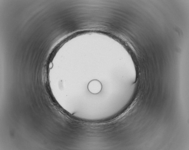 X0000111611069200908281046