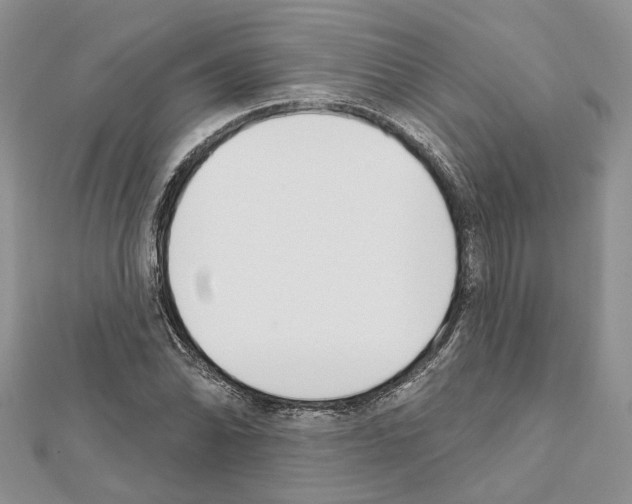 X0000111611070200908281046