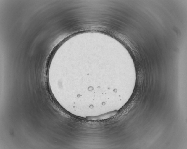 X0000111611071200908281046