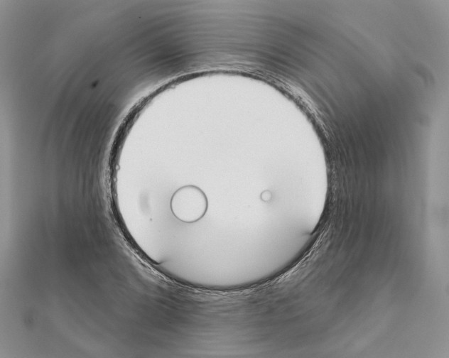 X0000111611072200908281046