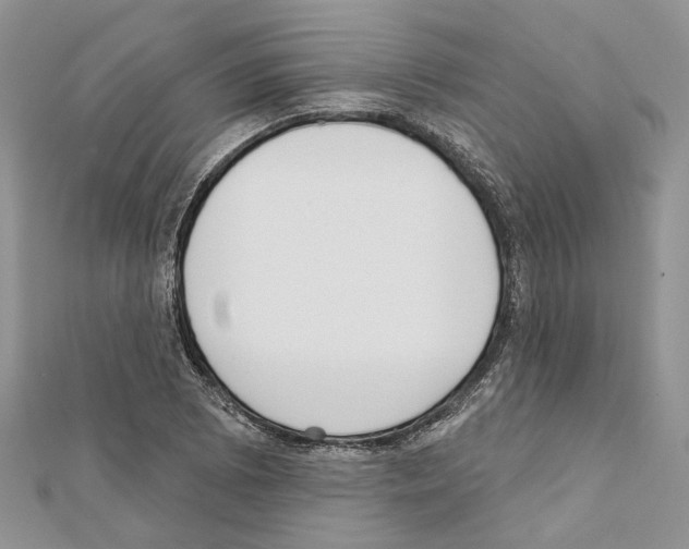 X0000111611073200908281046