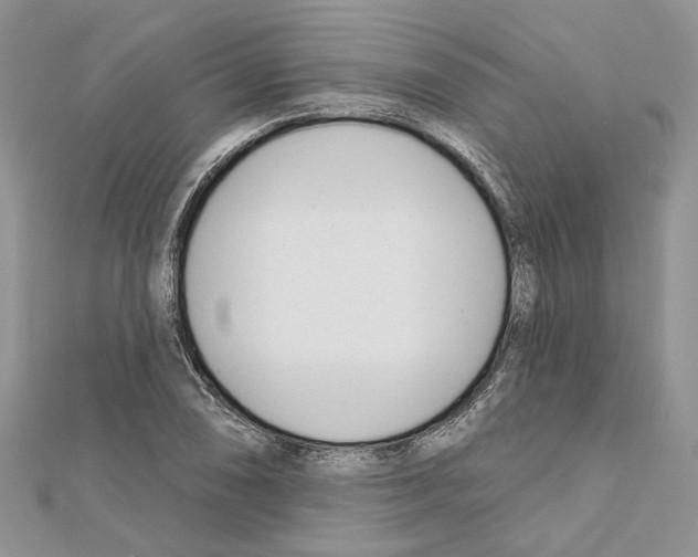X0000111611074200908281046