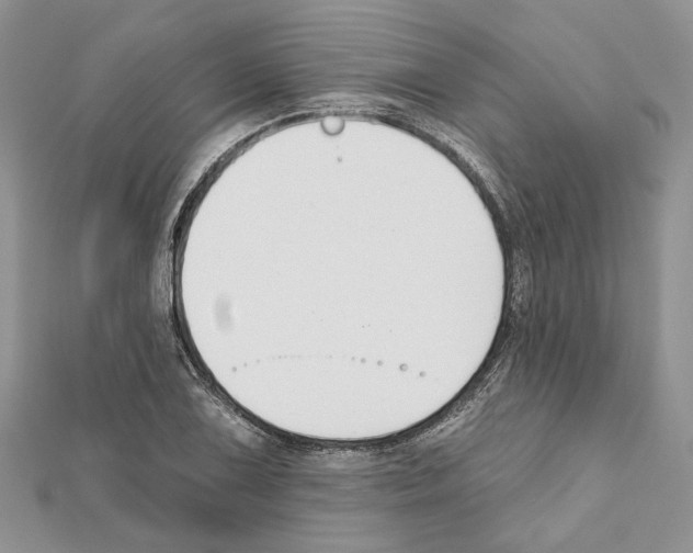 X0000111611075200908281046