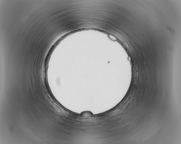 X0000111611076200908281046