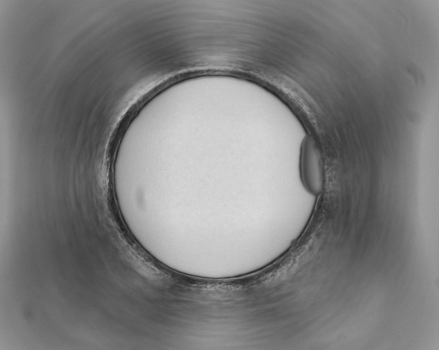 X0000111611077200908281045