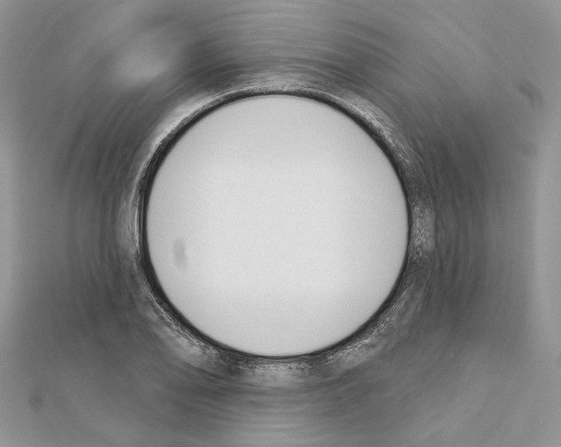 X0000111611078200908281045