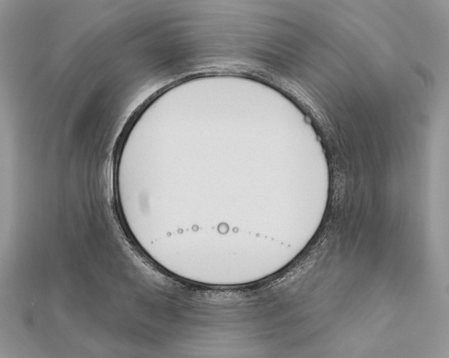 X0000111611079200908281045