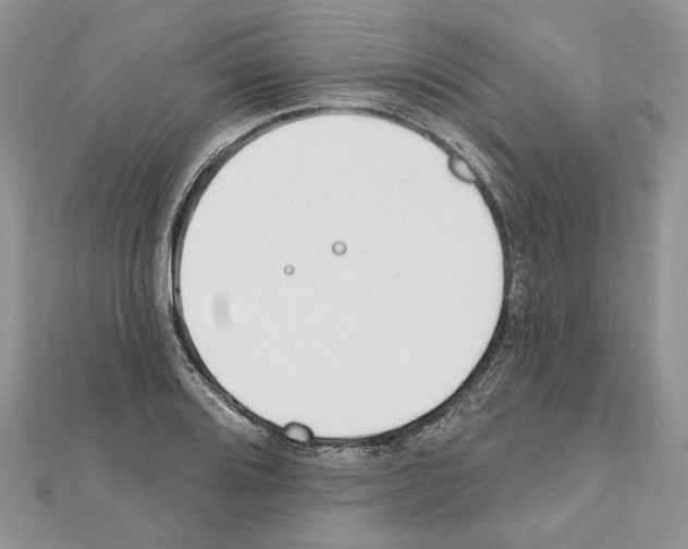 X0000111611080200908281045