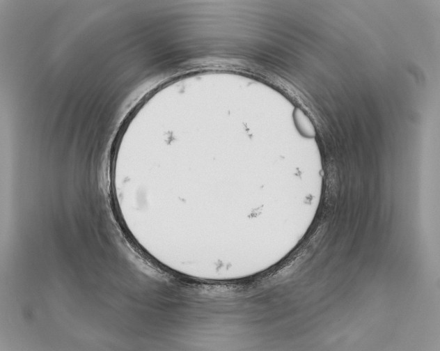 X0000111611082200908281045