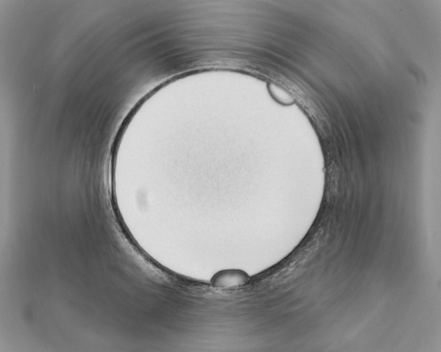 X0000111611084200908281045