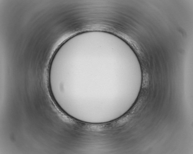 X0000111611086200908281045