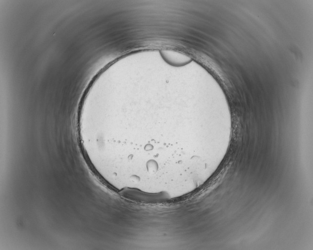 X0000111611087200908281045