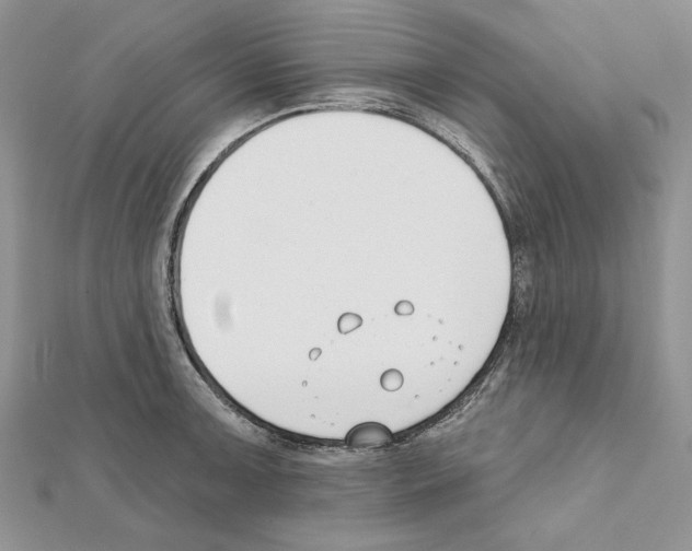 X0000111611091200908281045