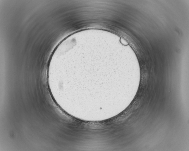 X0000111611092200908281045