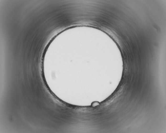 X0000111611093200908281045
