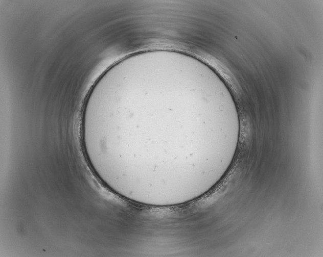 X0000111611094200908281045