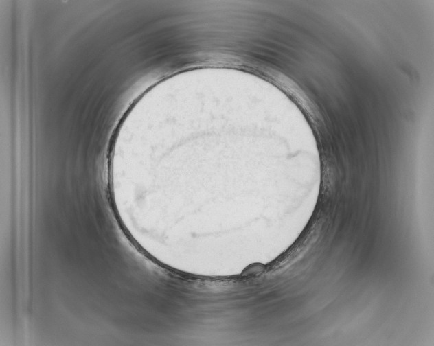 X0000111611095200908281045
