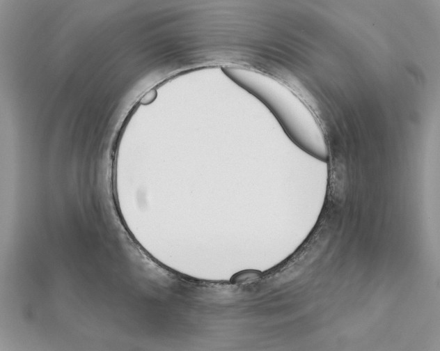 X0000111611096200908281045